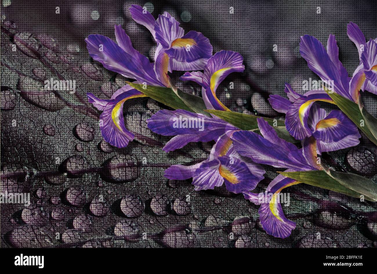 3d wallpaper texture, Watercolor drawn painting Iris flowers, on abstract canvas textures Stock Photo