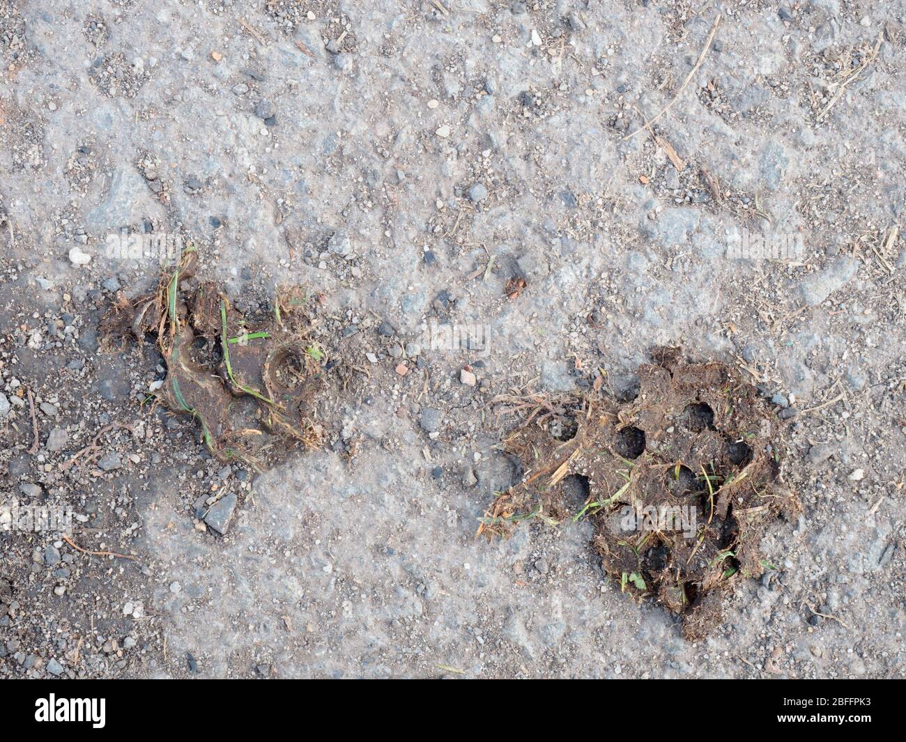 Sport shoe footprint on a clay court. Dry light crushed surface on ...