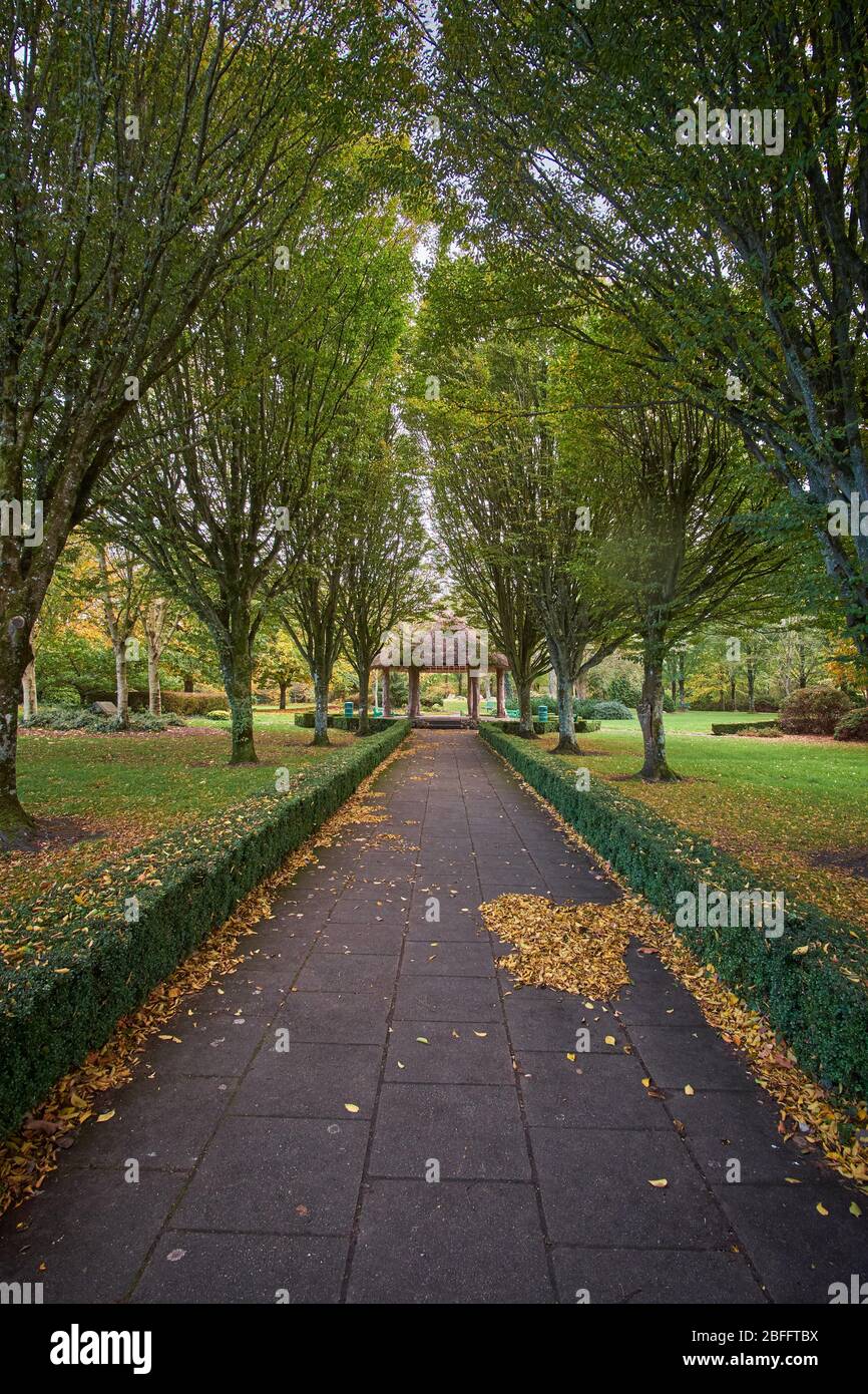 Peaceful view of the City park in Adare, County Limerick, Republic of Ireland on a autumn fall day in October. Stock Photo