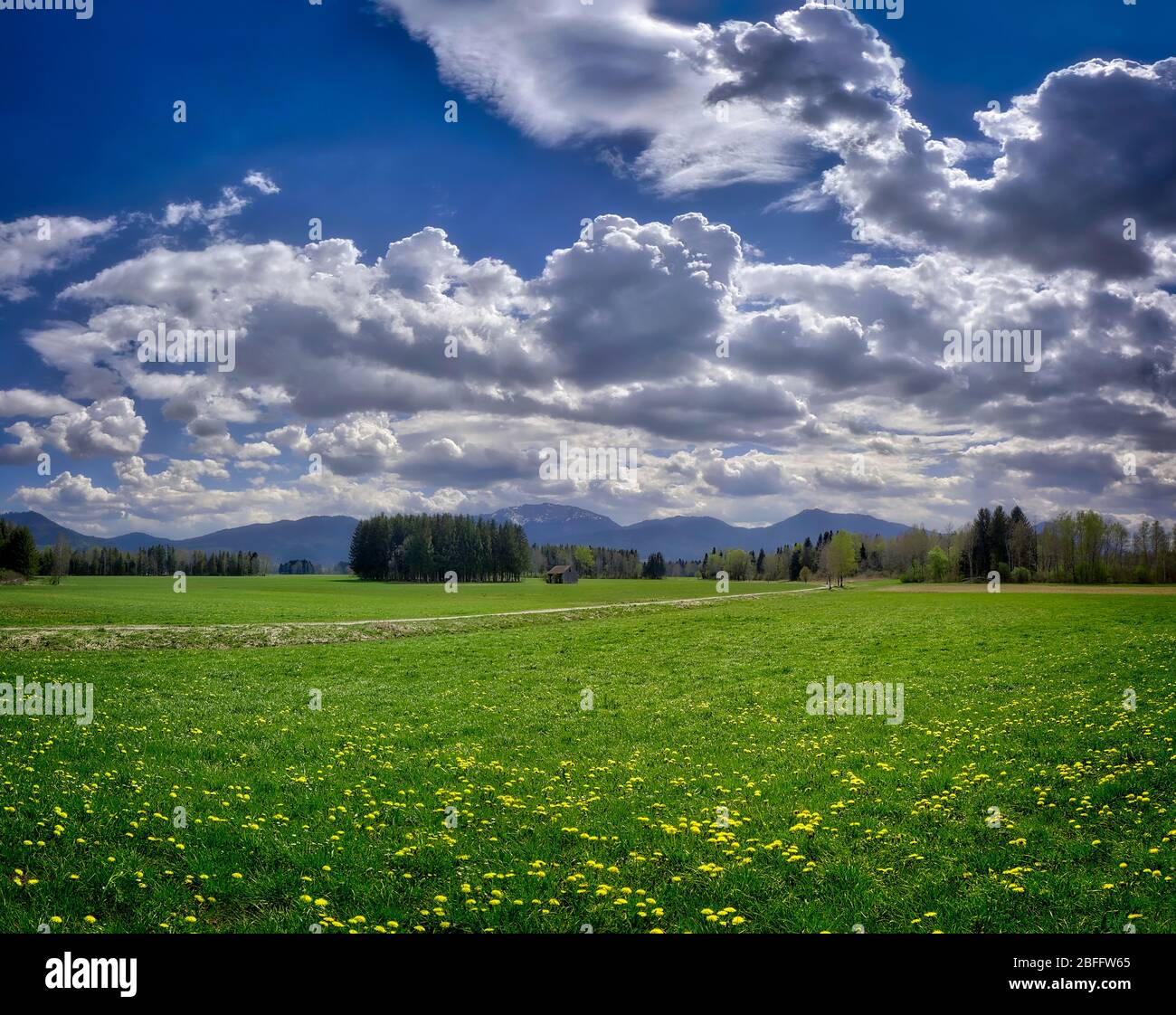 DE - BAVARIA: Hoffilze (moorlands) at Bichl near Bad Tölz Stock Photo