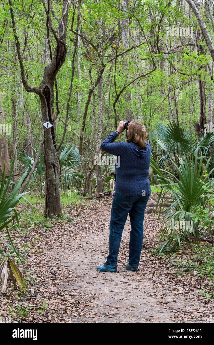 A senior retired woman walking a trail bird watching with binoculars ...