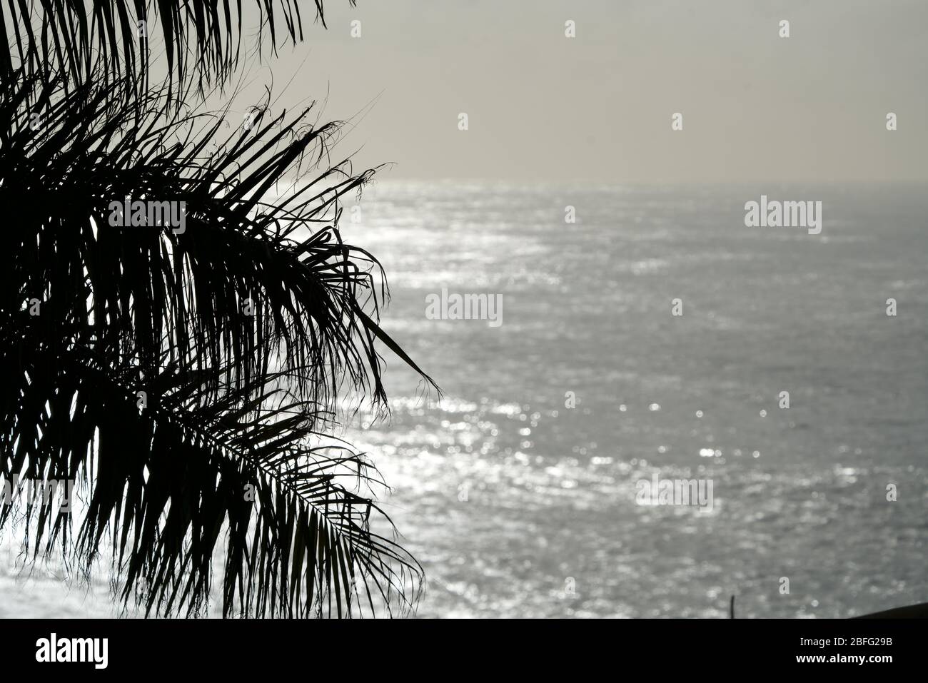 Backlight water hi-res stock photography and images - Alamy