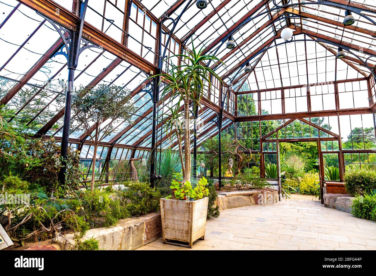Glasshouse at the Botanic Garden in Cambridge, UK Stock Photo