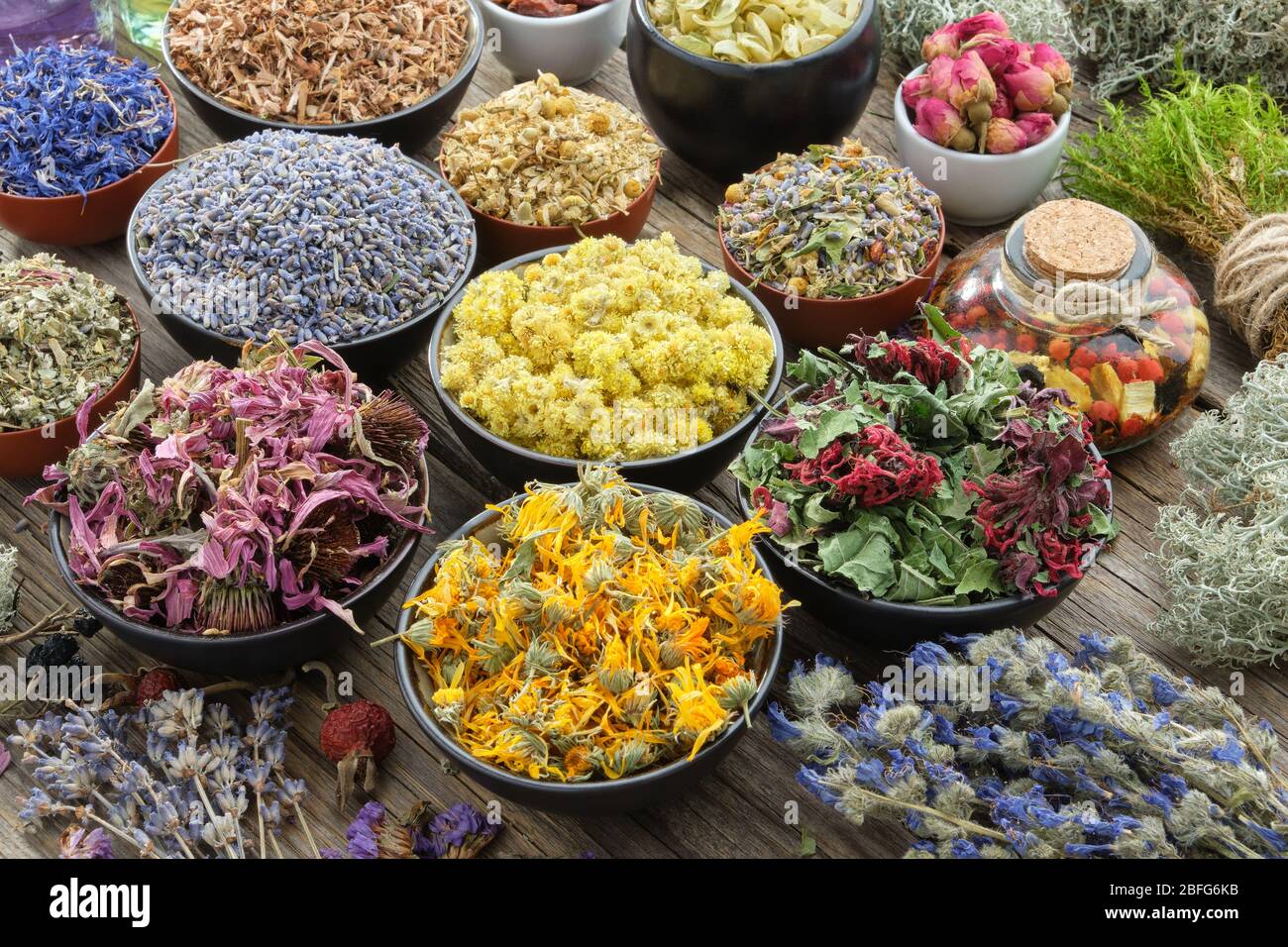 Bowls of dry medicinal herbs - lavender, cornflower, echinacea, marigold, rose, daisies, oak bark, Helichrysum, healthy moss and lichen. Healing herbs Stock Photo