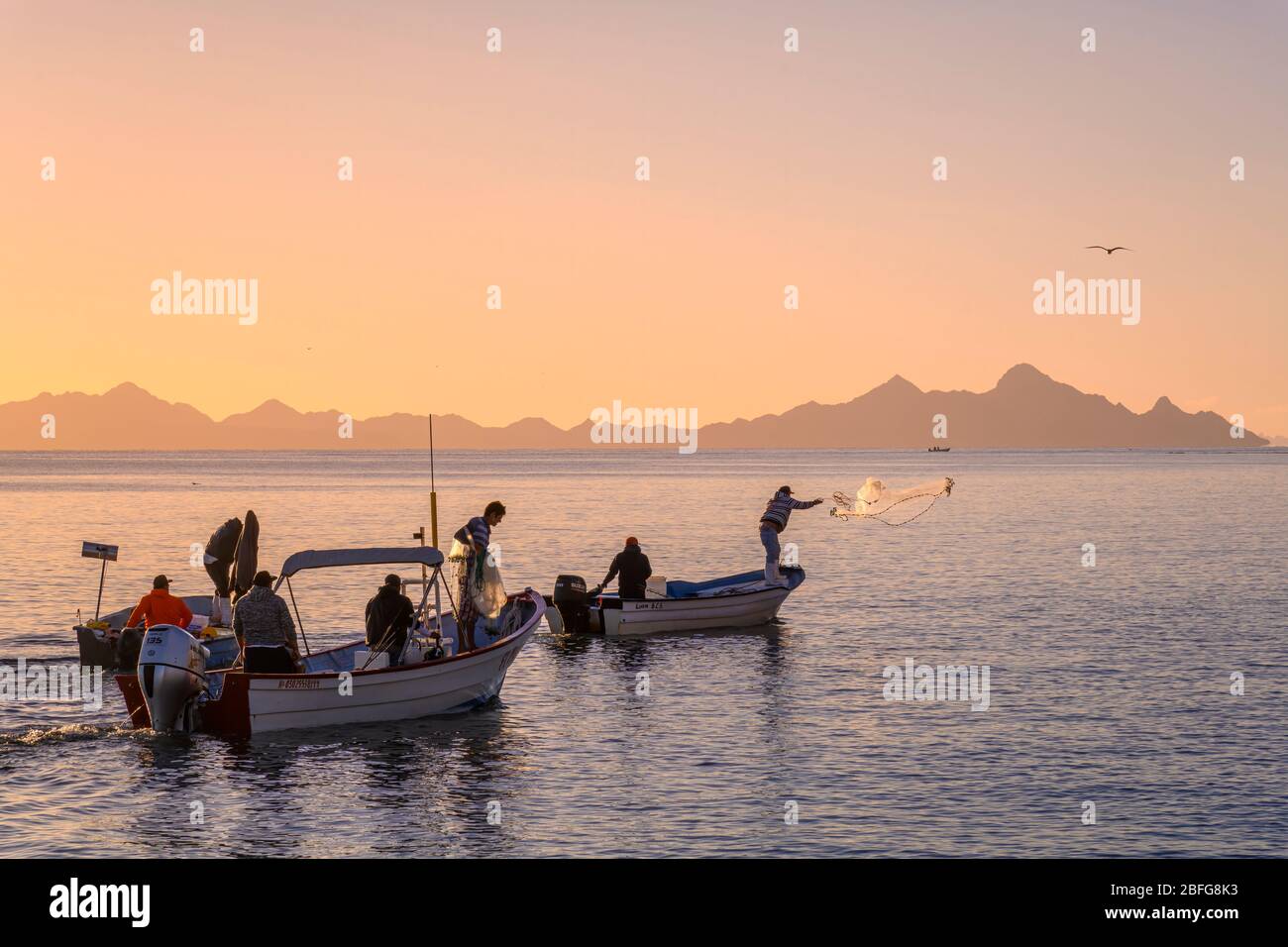 Net fishermen on the Sea of Cortez at Loreto, Baja California Sur, Mexico. Stock Photo