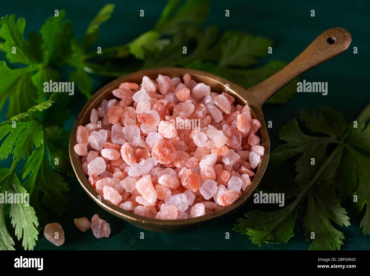 Pink Himalayan Salt with Fresh Cilantro in an antique container on a green surface Stock Photo