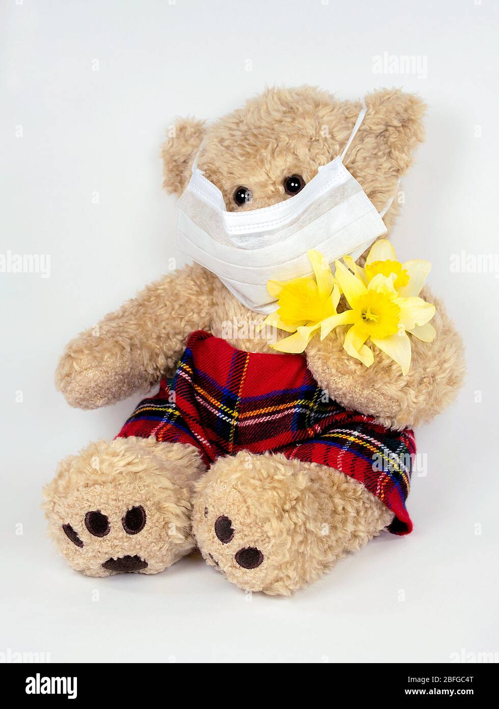 brown teddy bear with white sterile face mask and daffodil bouquet Stock Photo