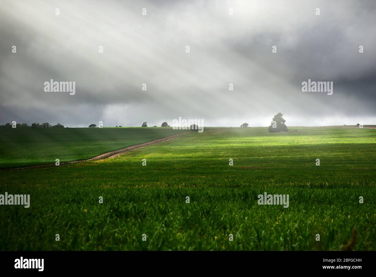 Green meadow lit by epic sunbeams on a stormy day in San Luis, Argentina. Stock Photo