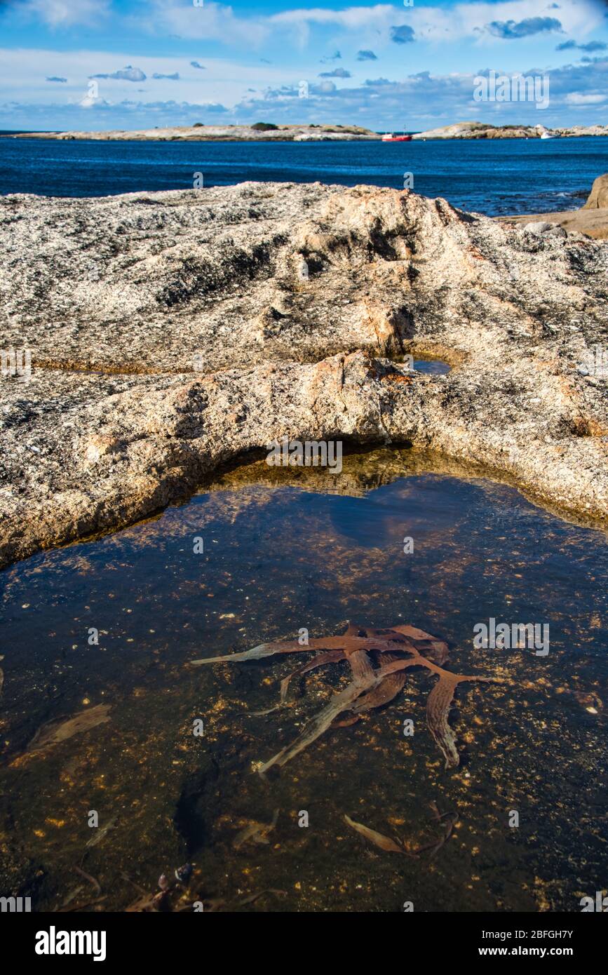 Rugged coastline of Bisheno in Tasmania with clear foreground rock pool harbouring kelp. Stock Photo