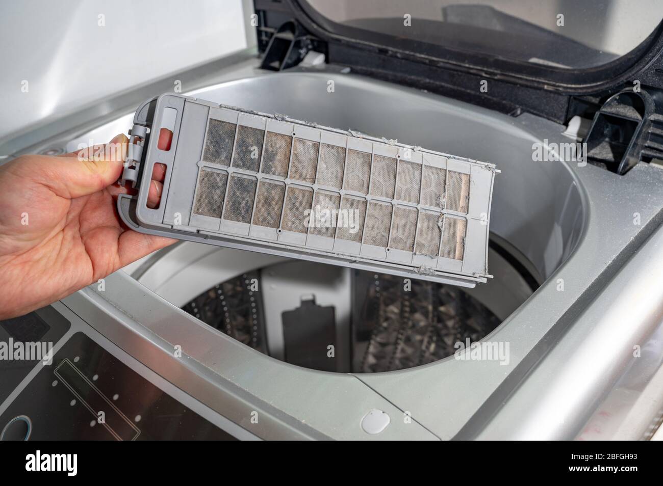 https://c8.alamy.com/comp/2BFGH93/dust-and-dirt-trapped-by-the-washing-machine-filter-2BFGH93.jpg