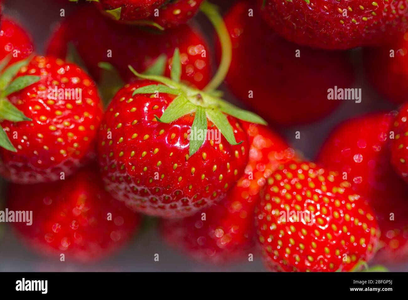 Close-up of ripe red strawberries Stock Photo - Alamy