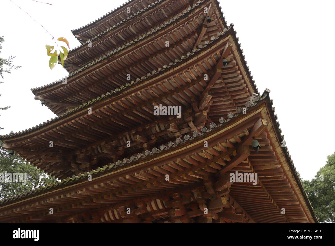 Looking up at the intricately constructed curved eaves of the oldest wooden structure, the Goju-no-to Pagoda, Daigo-ji Temple, Kyoto, Japan.Copy space Stock Photo