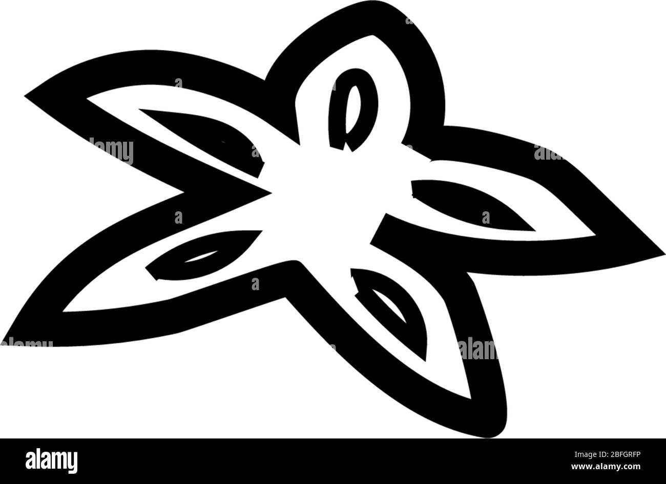 Star anise. Isolated on a white background . Stock Vector