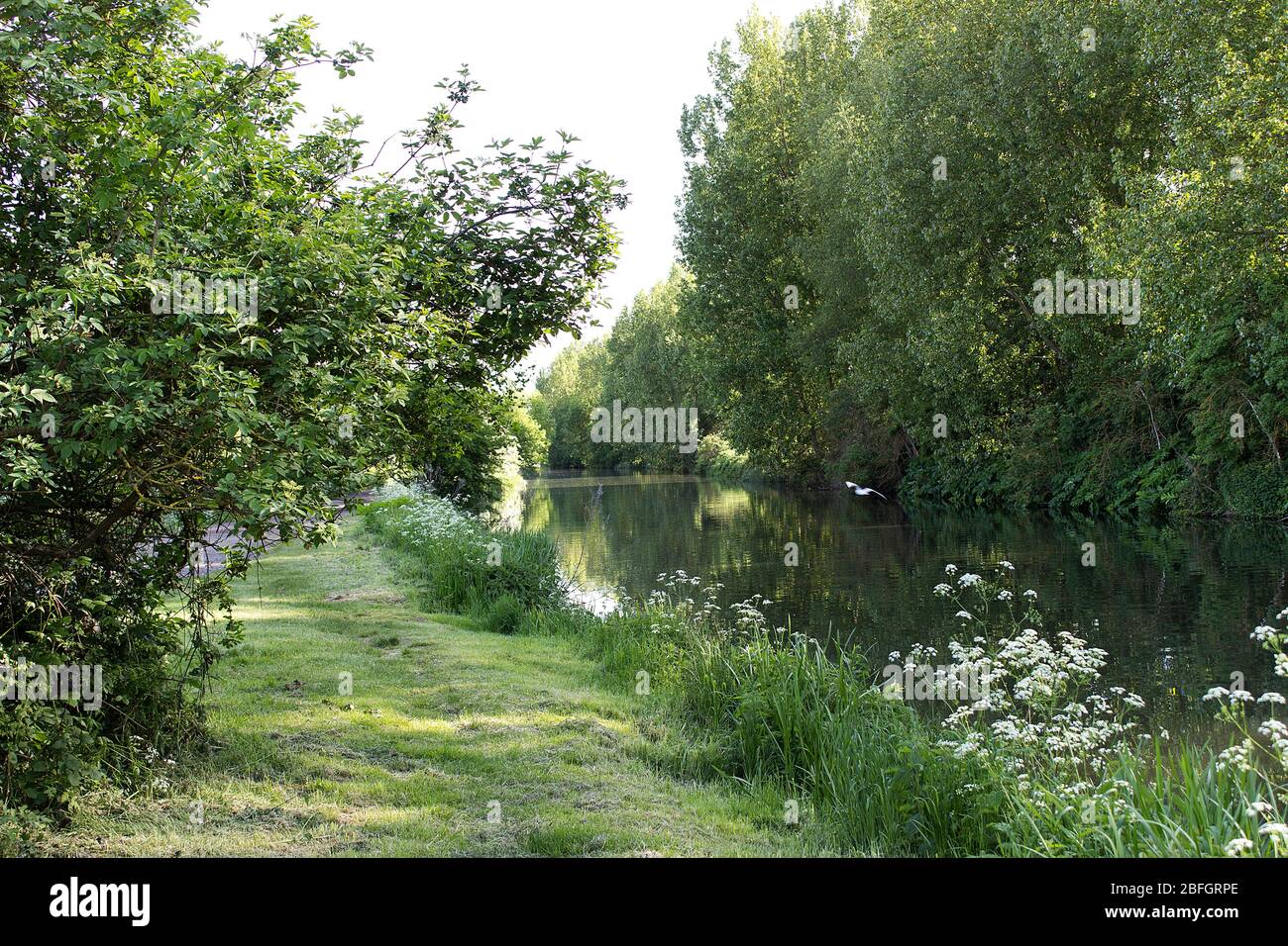 Uk nature river walk hi-res stock photography and images - Alamy