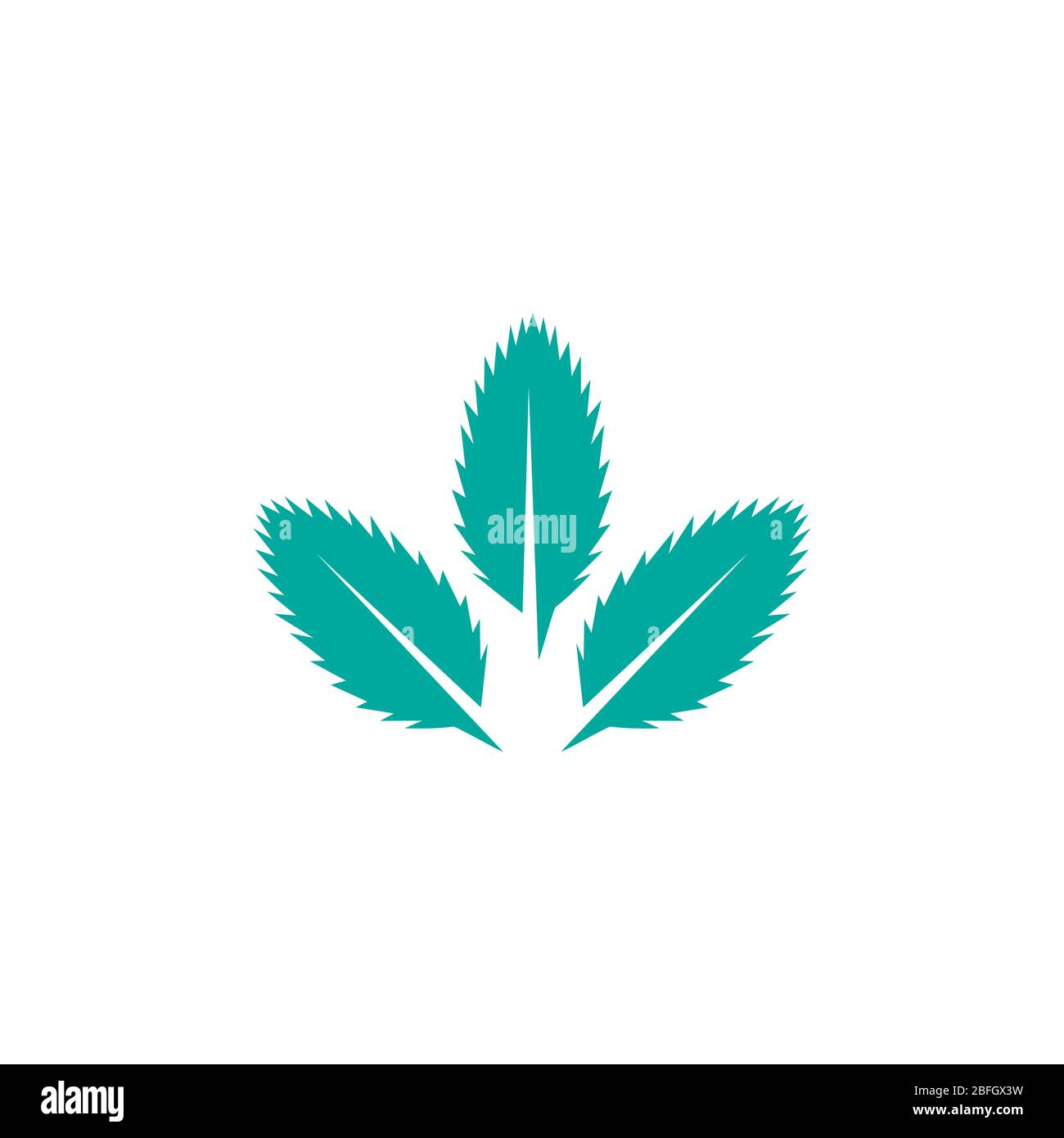 Mint leaves flat vector color icon template isolated Stock Vector Image ...