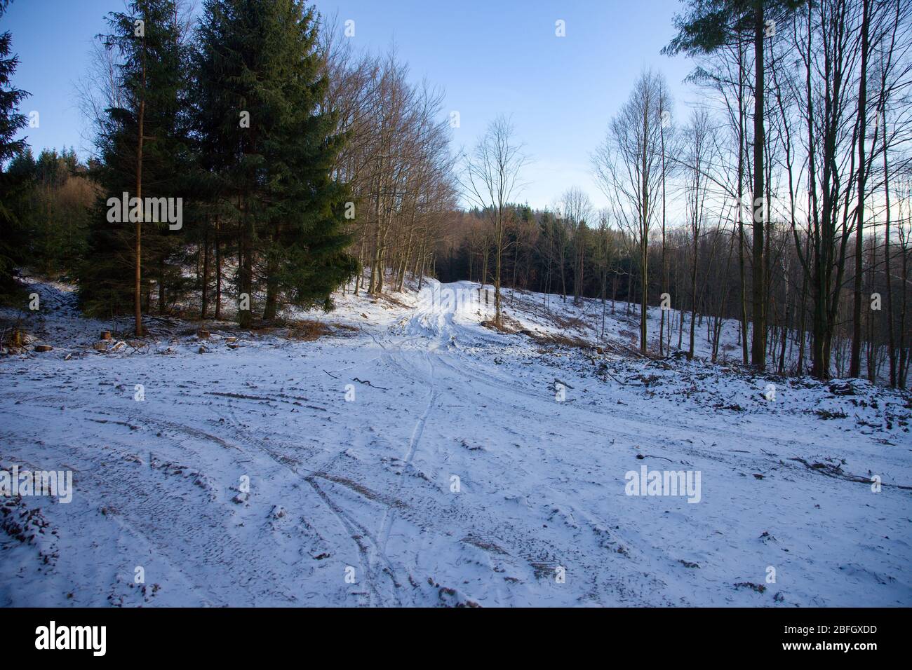 Forest road crossroad in the mountain sadle, Slovakia Stock Photo