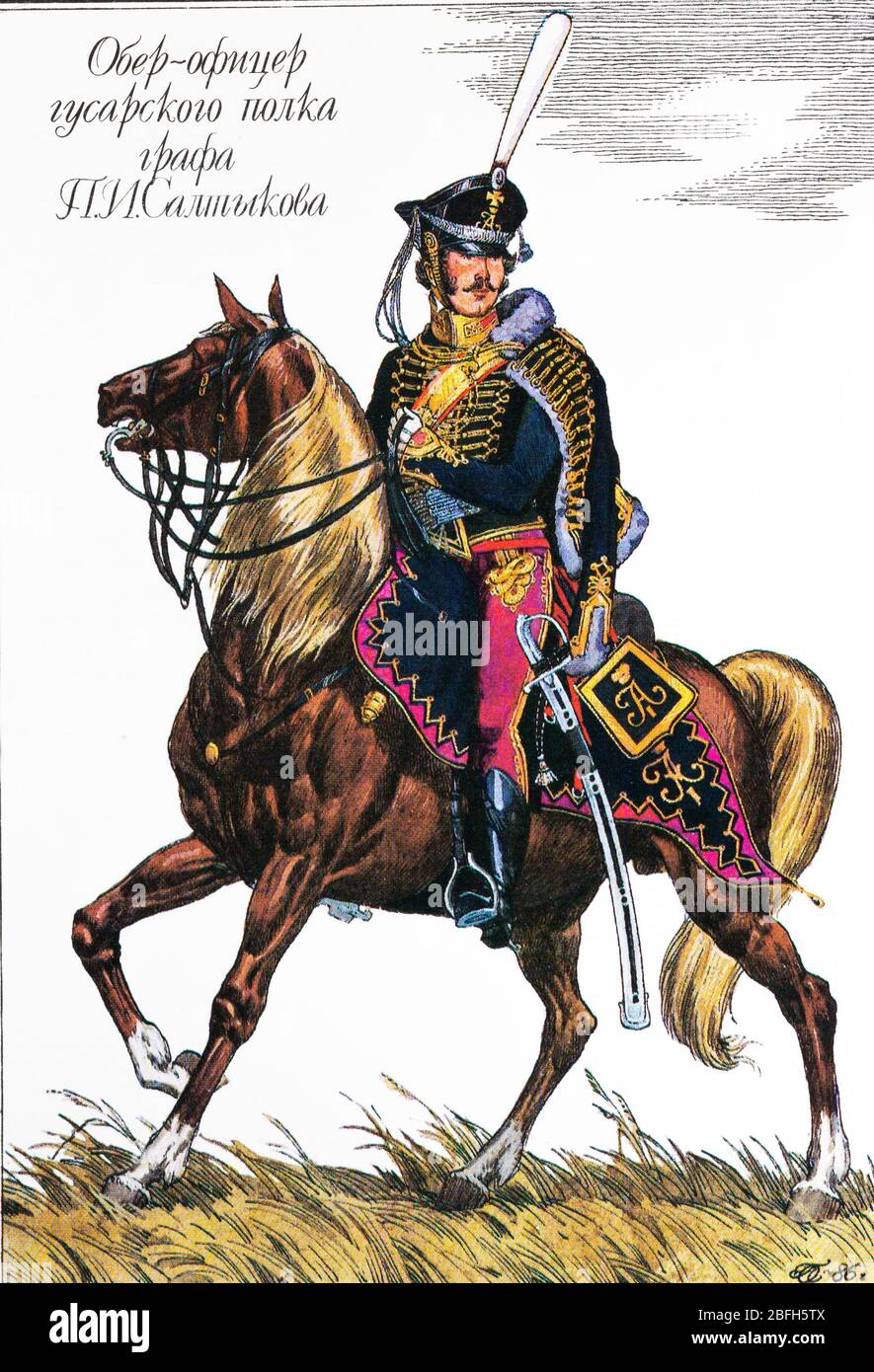 Count Pyotr Saltykov hussar regiment company officer, 1812, 19th