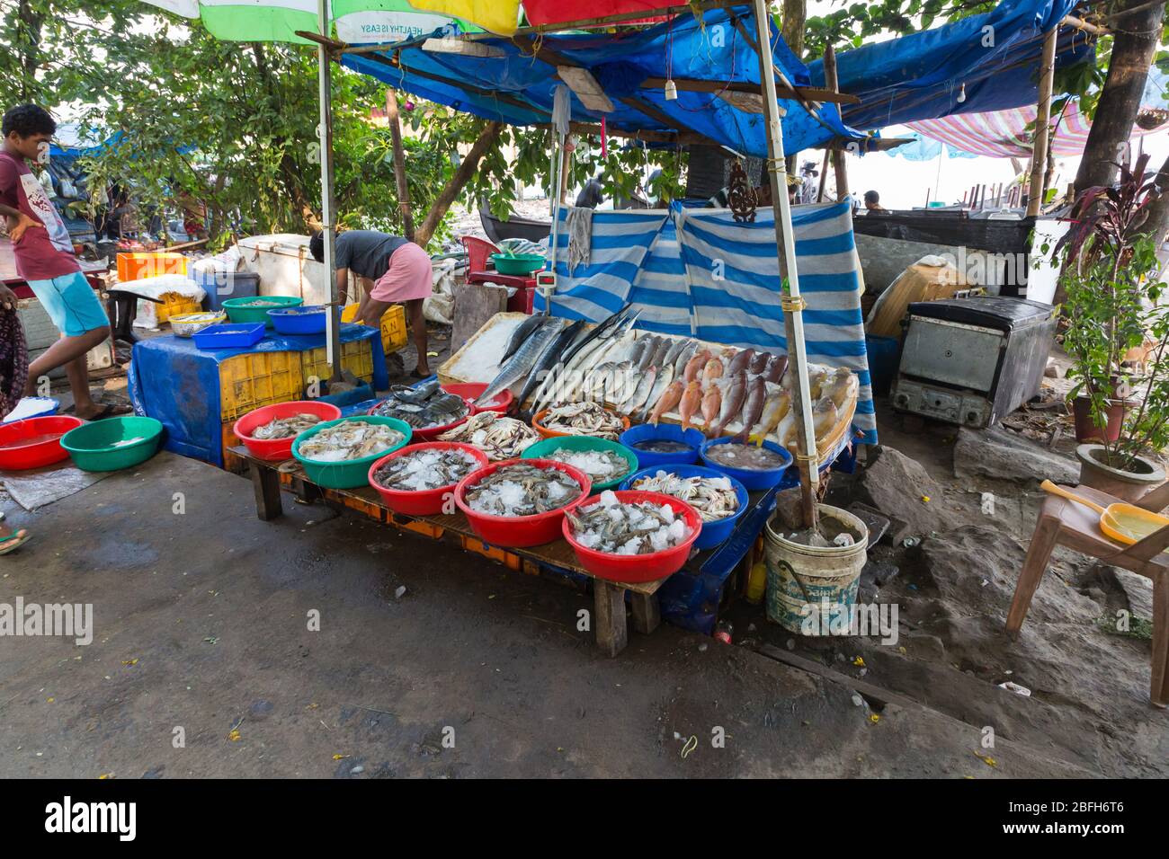 Kochi, Kerala December 30, 2019 Fish market near the chinese fishing