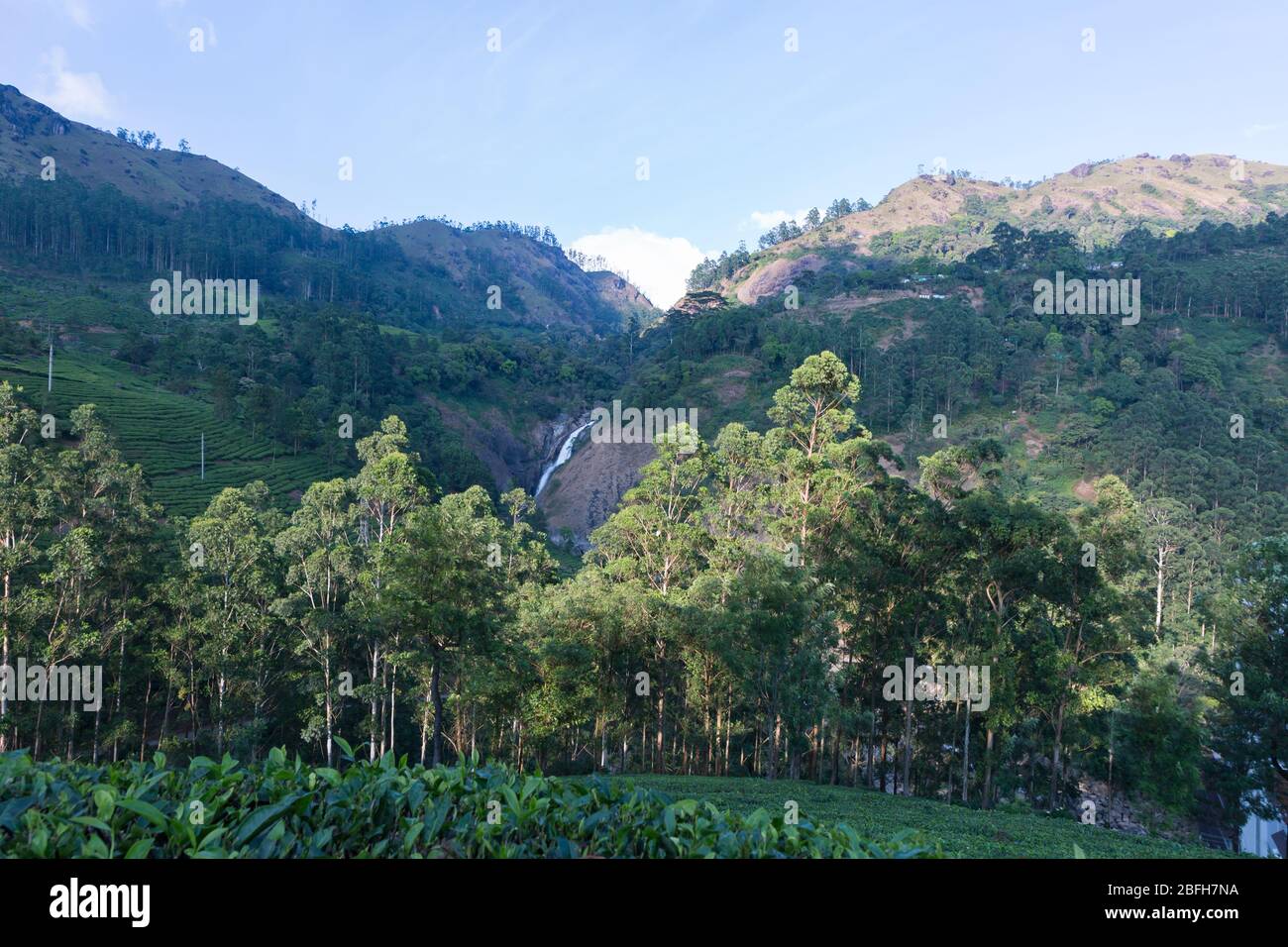 Attukad waterfalls in Munnar kerala india Stock Photo