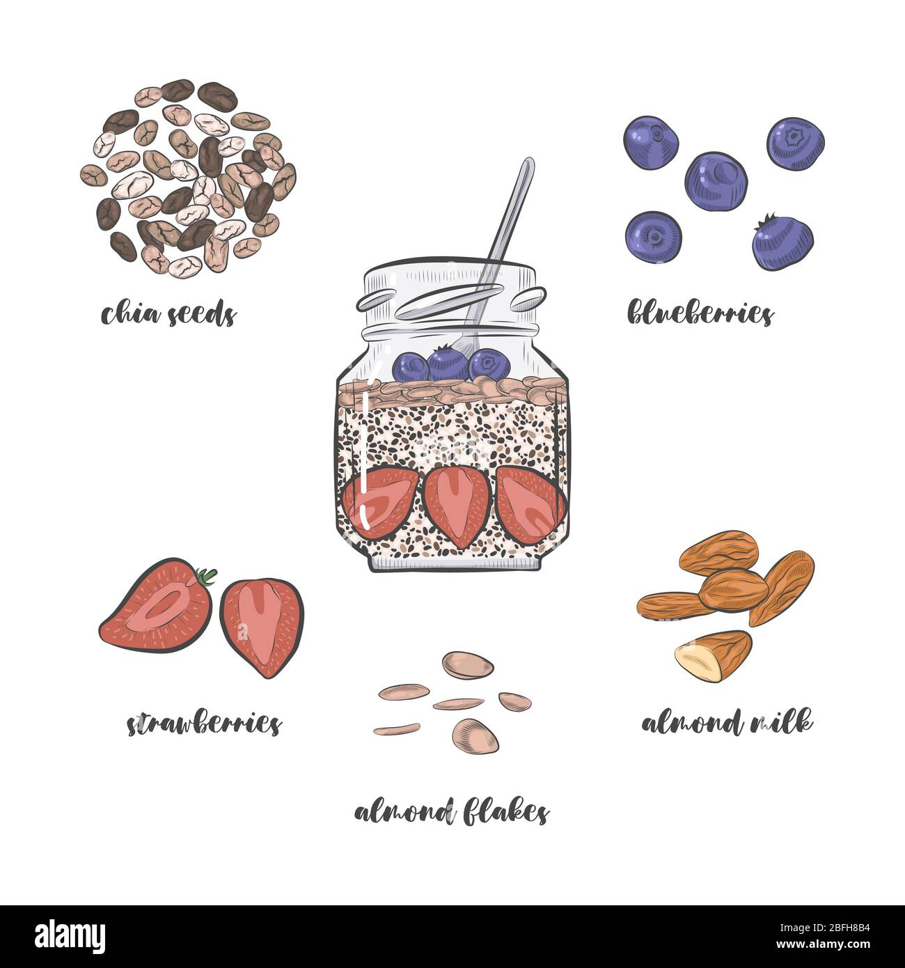 https://c8.alamy.com/comp/2BFH8B4/chia-dessert-in-jar-and-pudding-ingredients-isolated-on-white-background-2BFH8B4.jpg