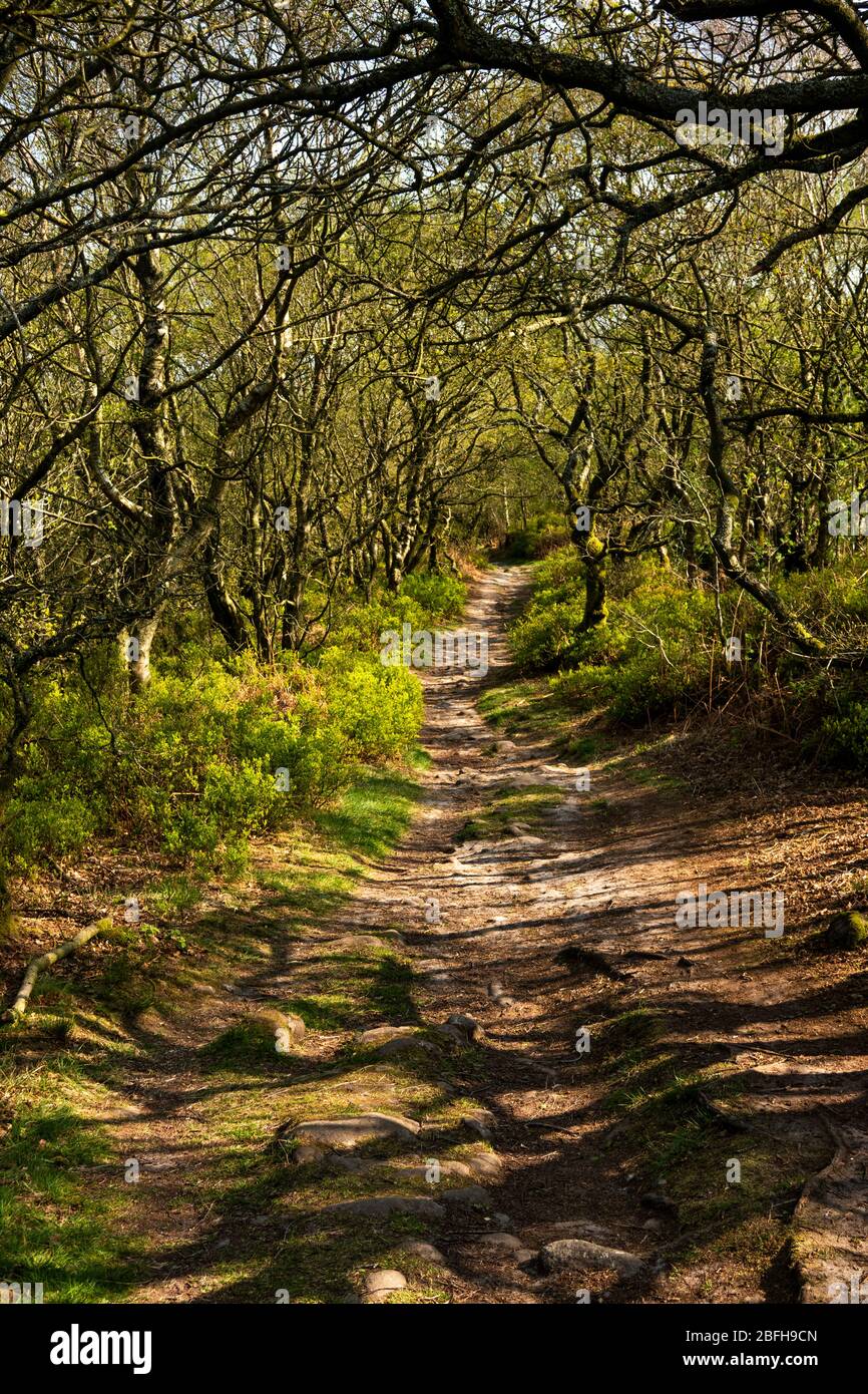 Congleton edge hires stock photography and images Alamy
