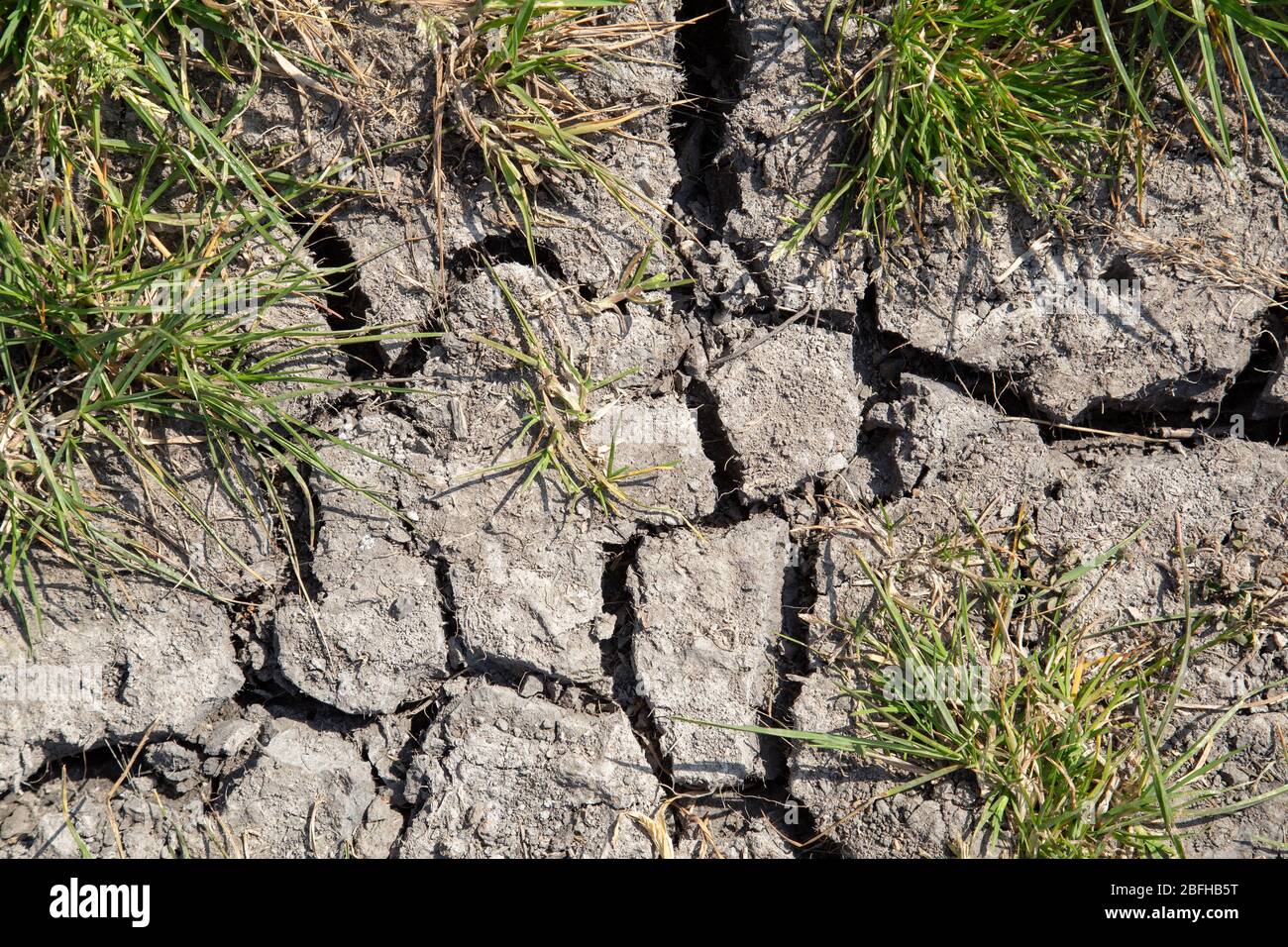 Dried and cracked soil with grass. Concept drowth and erosion Stock ...