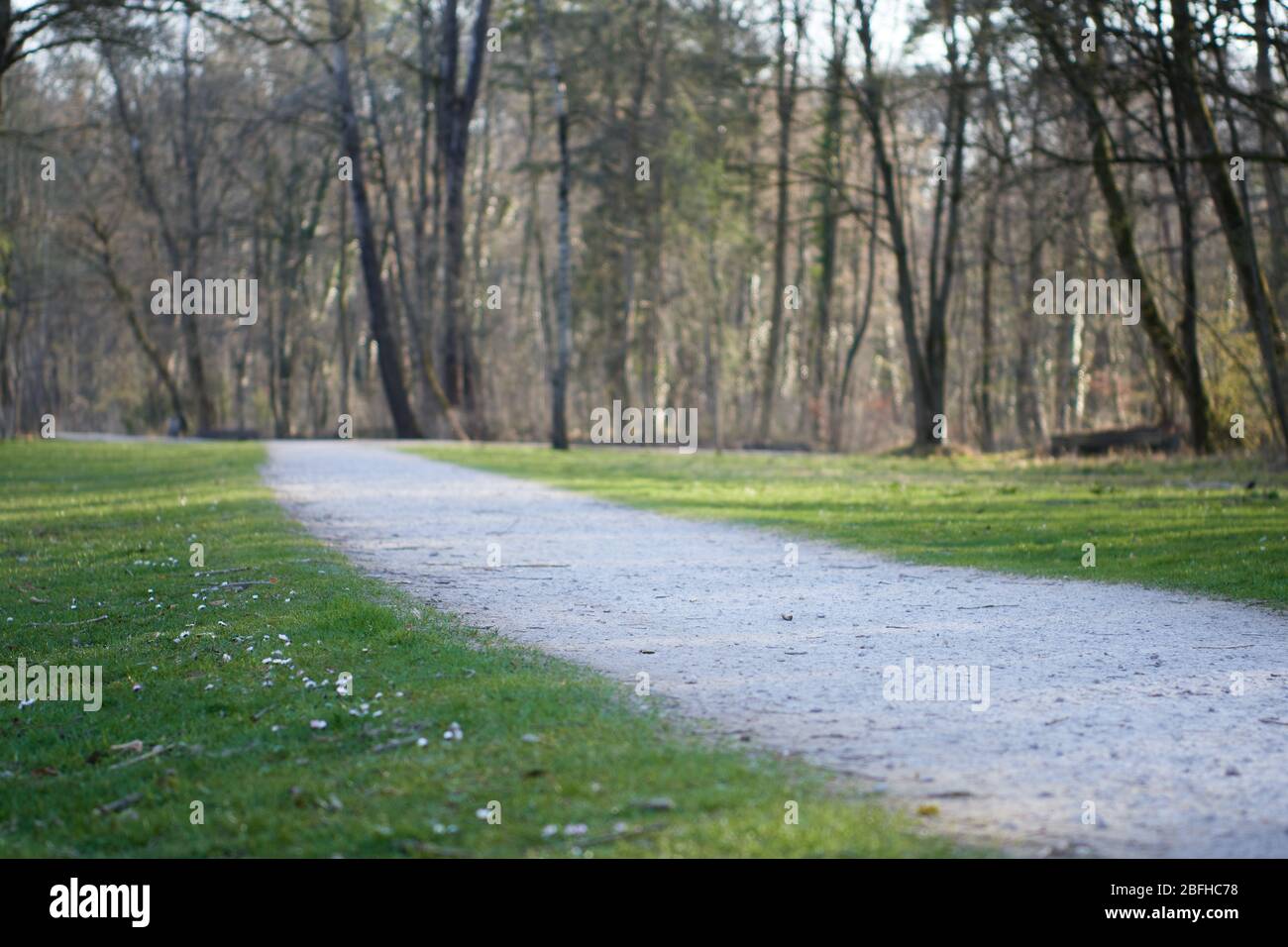 A footpath in an idyllic landscape in the woods at golden hour. Concept for life, sports and outdoor activities, healthy lifestyle, nature and environ Stock Photo