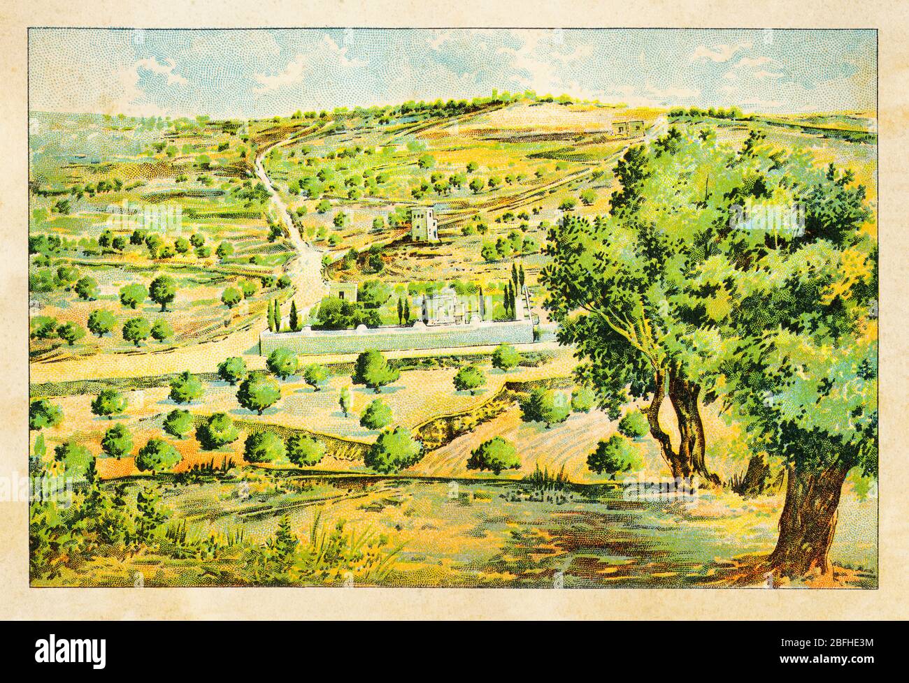 Mount of Olives (Jebel Et-Tur) General view of Garden of Gethsemane, Jerusalem. Israel, old color chromolithography The Holy Land 1898 Stock Photo