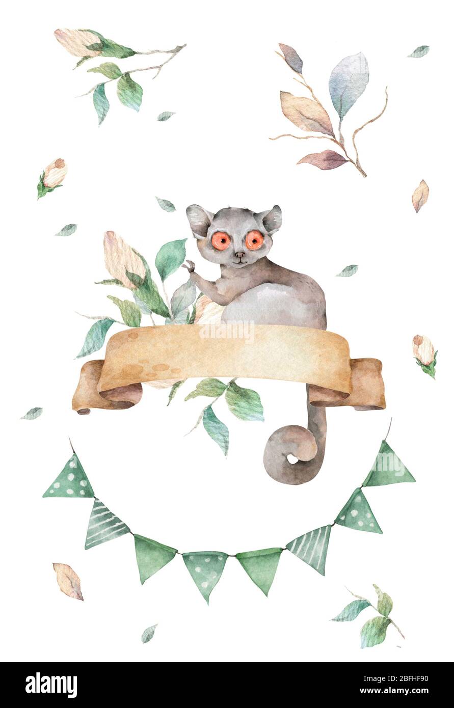 Baby Mouse Lemur Hand Drawn Cute Watercolor Cartoon Mouse Lemur On Tree With Jungle Leaves On White Background Stock Photo Alamy Baby Mouse Lemur Hand Drawn Cute Watercolor Cartoon Mouse Lemur On Tree With Jungle Leaves On White Background Stock Photo Alamy