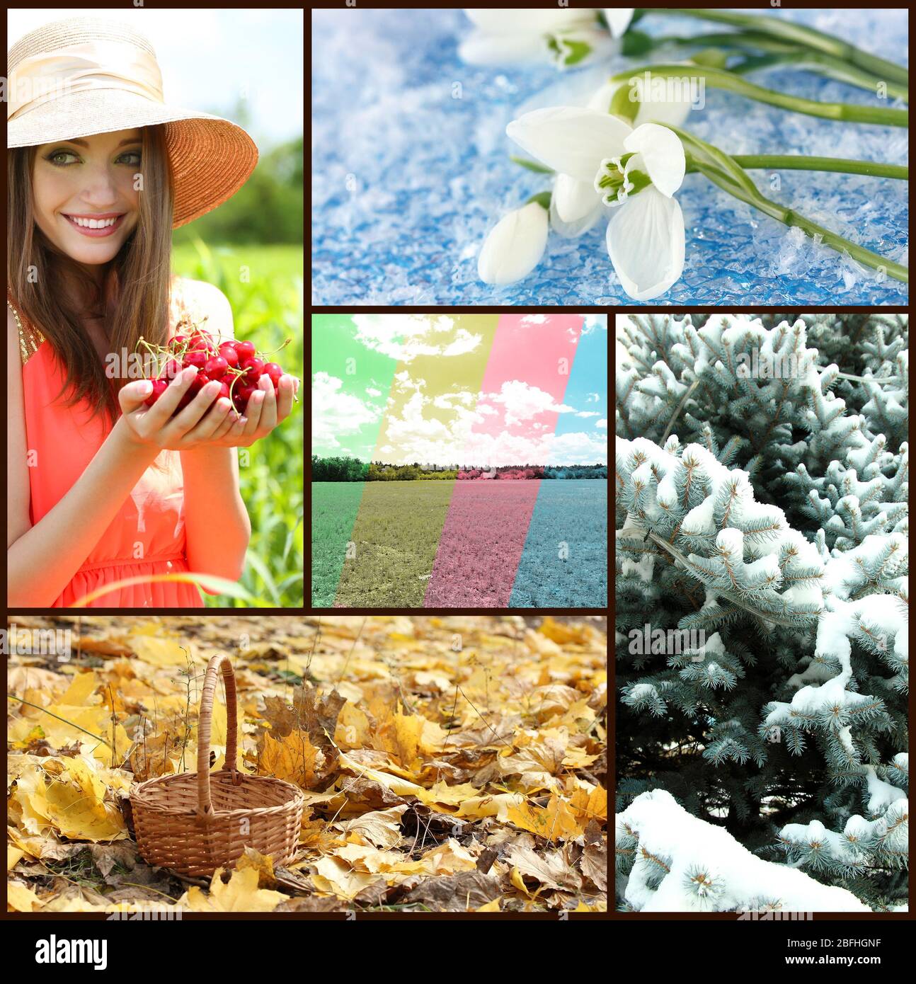 Four seasons collage Stock Photo - Alamy