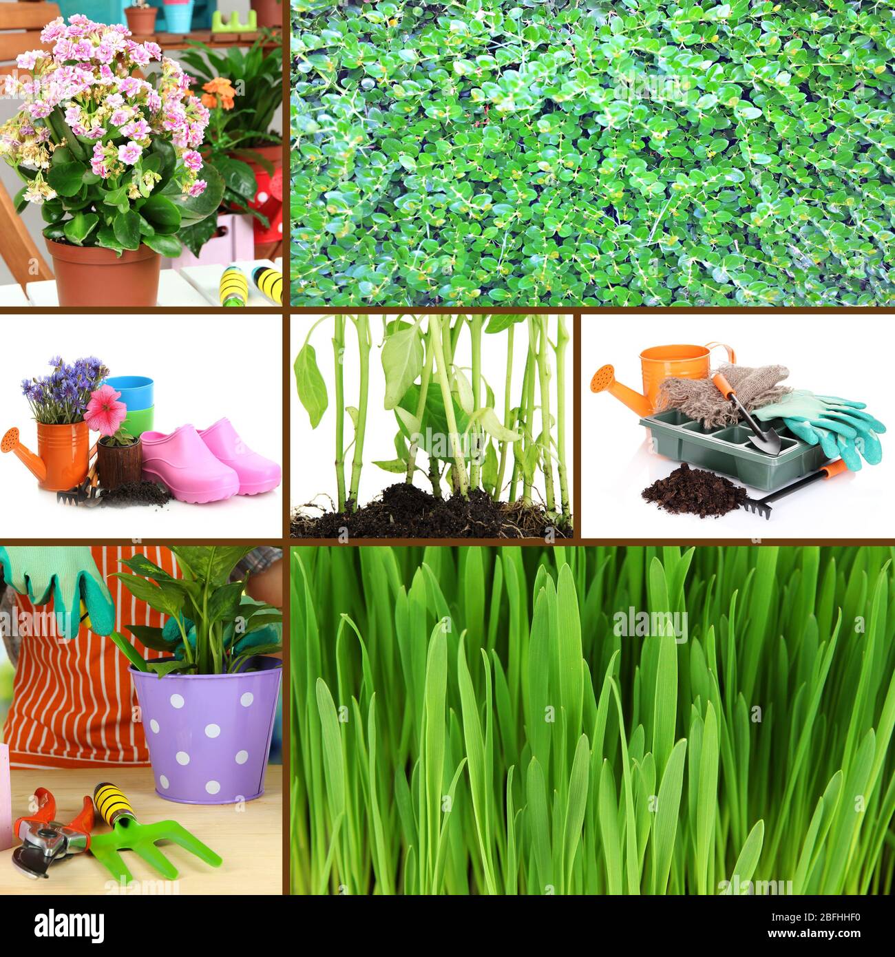 Collage of gardening theme Stock Photo - Alamy
