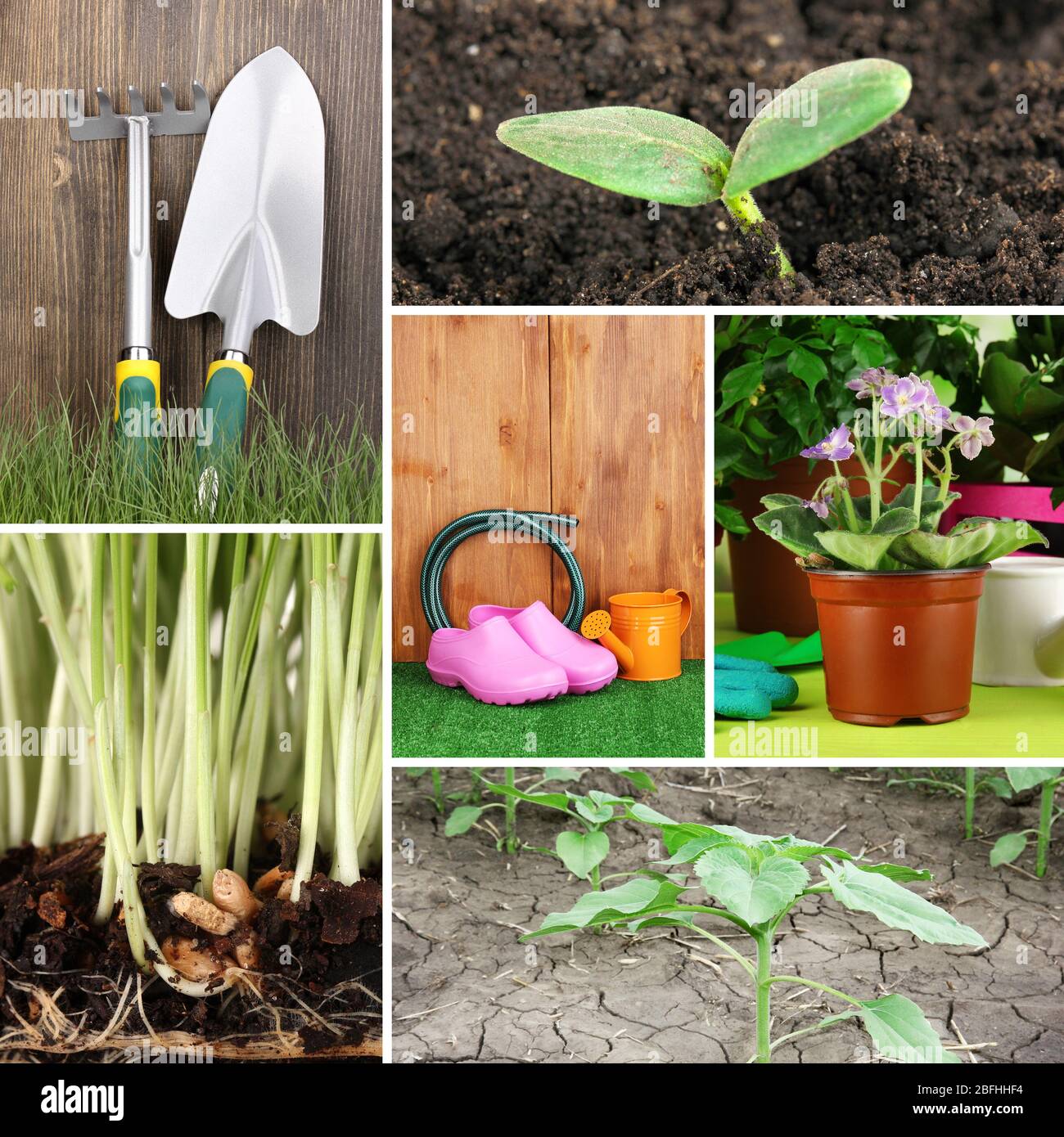 Collage of gardening theme Stock Photo - Alamy