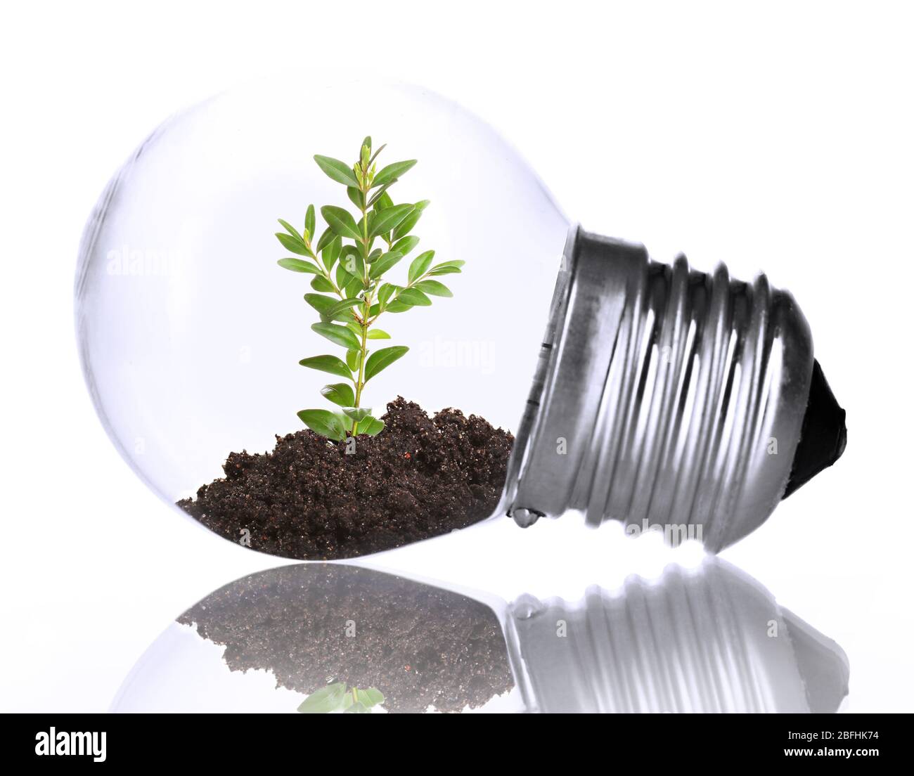 Green eco energy concept. Plant growing inside light bulb, isolated on ...