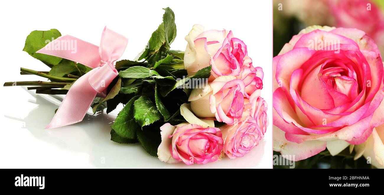 Collage roses closeup hi-res stock photography and images - Alamy