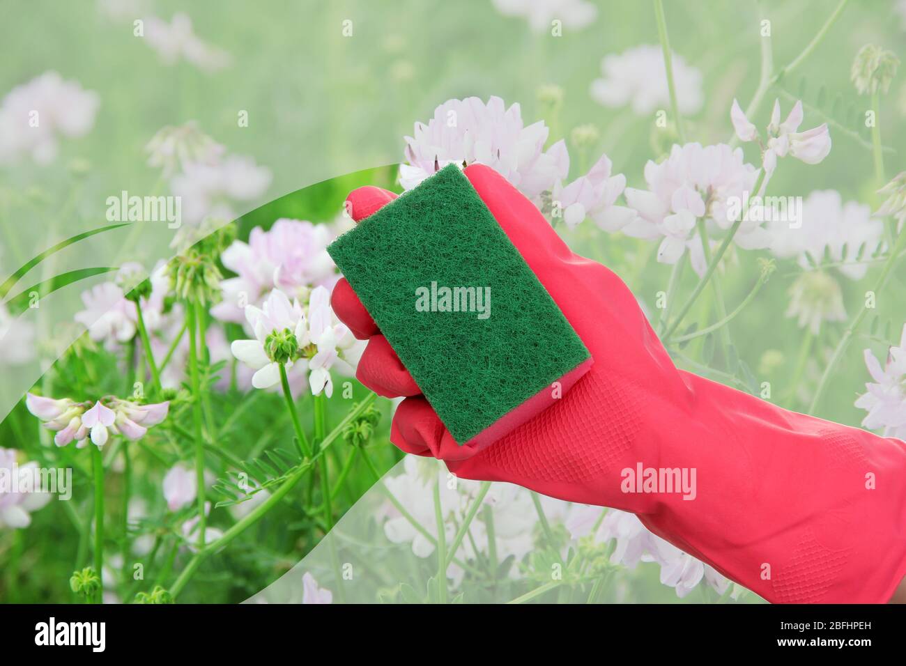 Hand with sponge cleaning dirty window Stock Photo Alamy