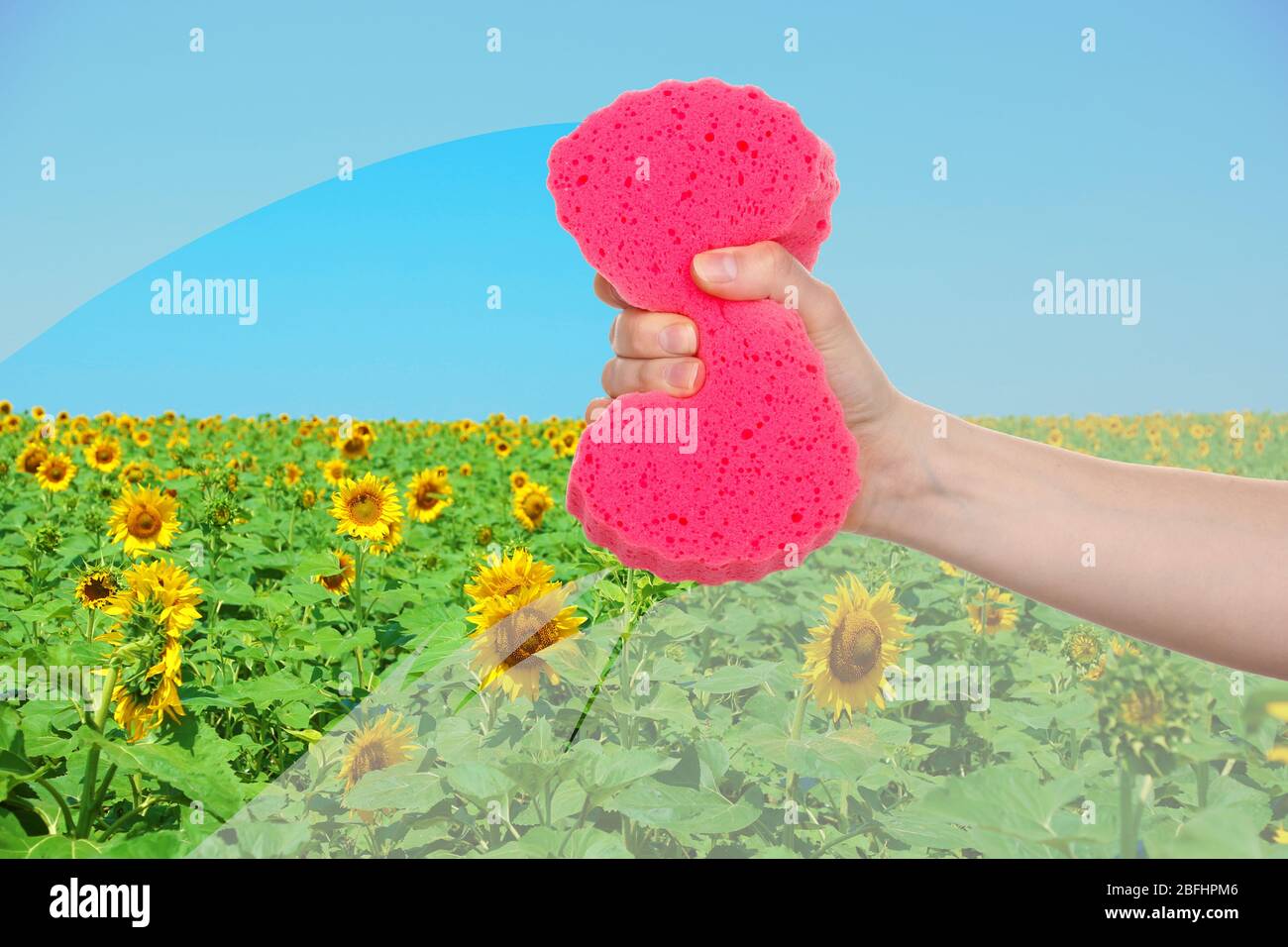 Hand with sponge cleaning dirty window Stock Photo Alamy