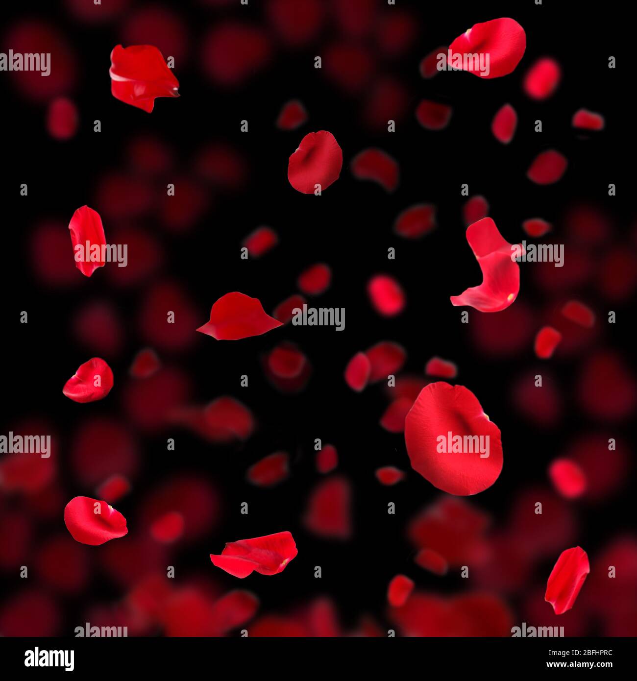 Beautiful red rose petals on dark background Stock Photo - Alamy