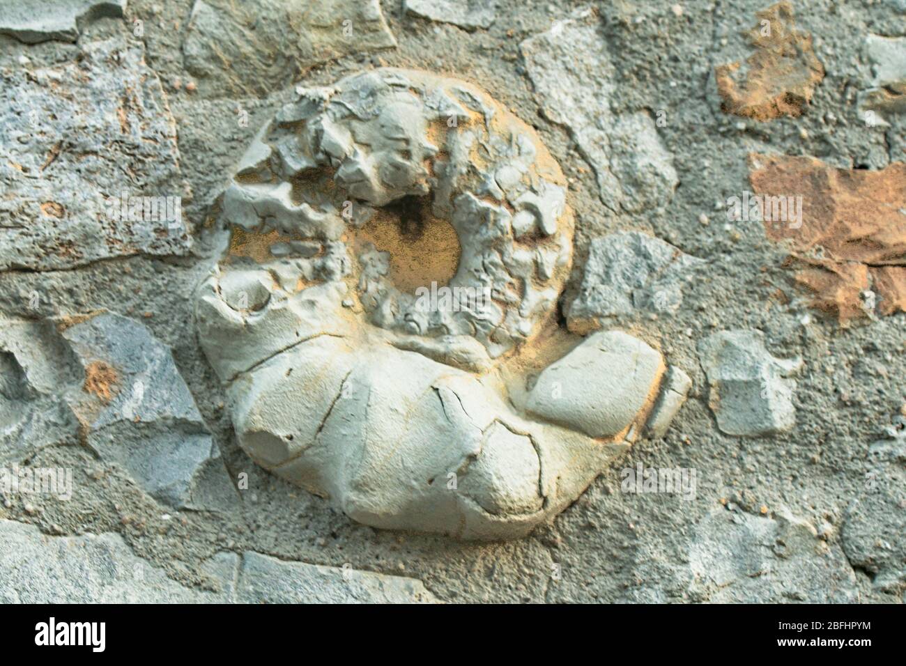 Ammonit in Wand vermauert Stock Photo
