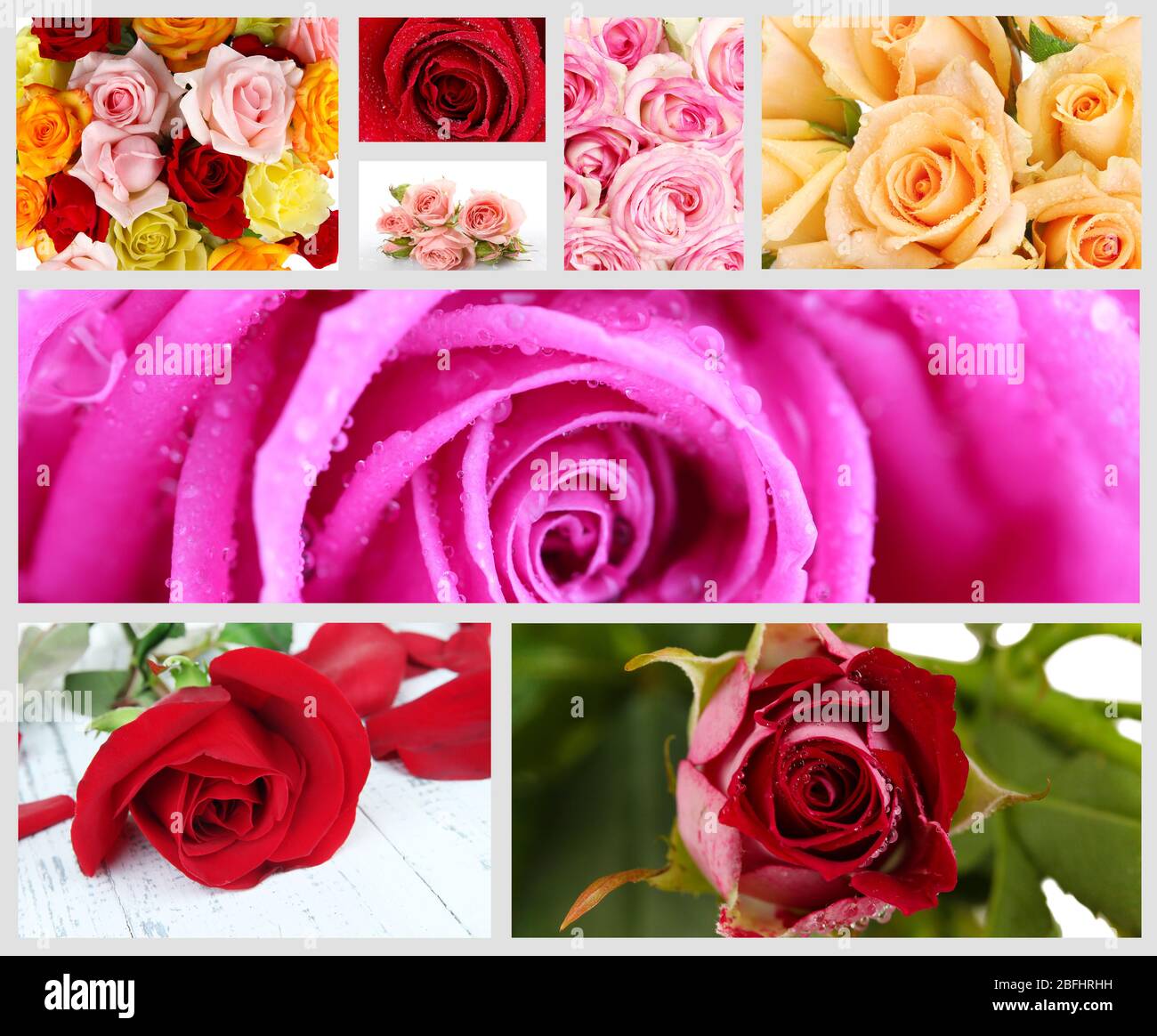Beautiful roses collage Stock Photo - Alamy