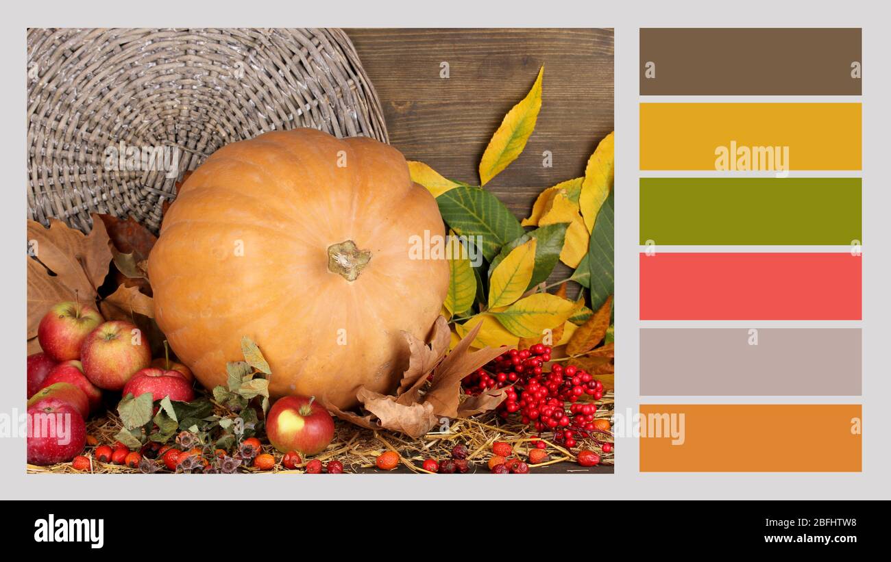 Autumn Still Life With Pumpkin Color Palette With Complimentary Swatches Stock Photo Alamy