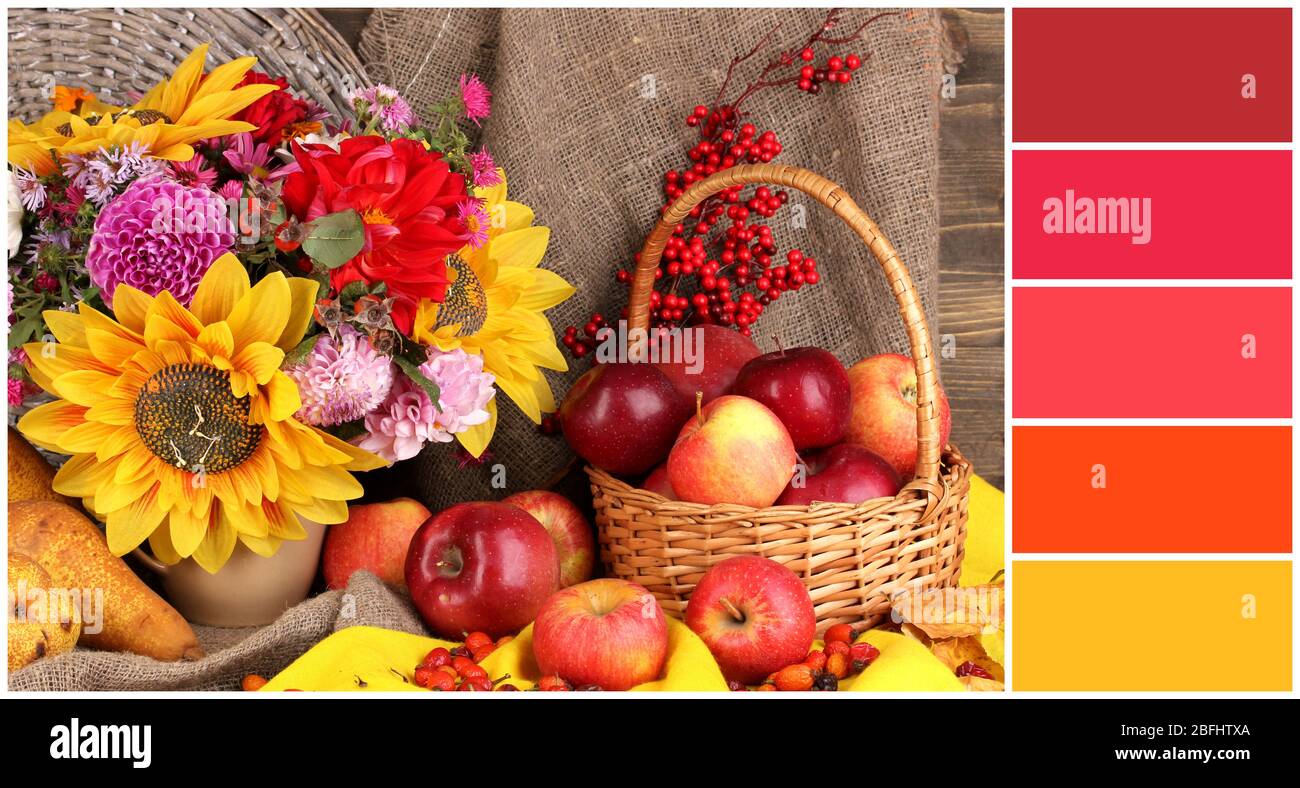 Autumn still life with apples. Color palette with complimentary ...