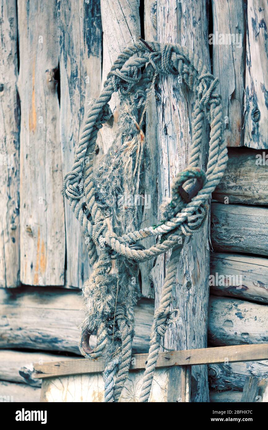 Old rope on wooden background Stock Photo