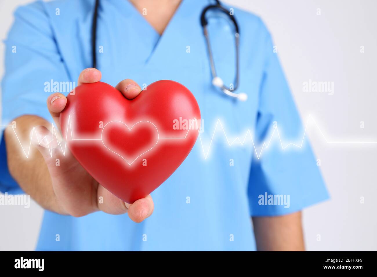 Doctor holding model of heart Stock Photo - Alamy