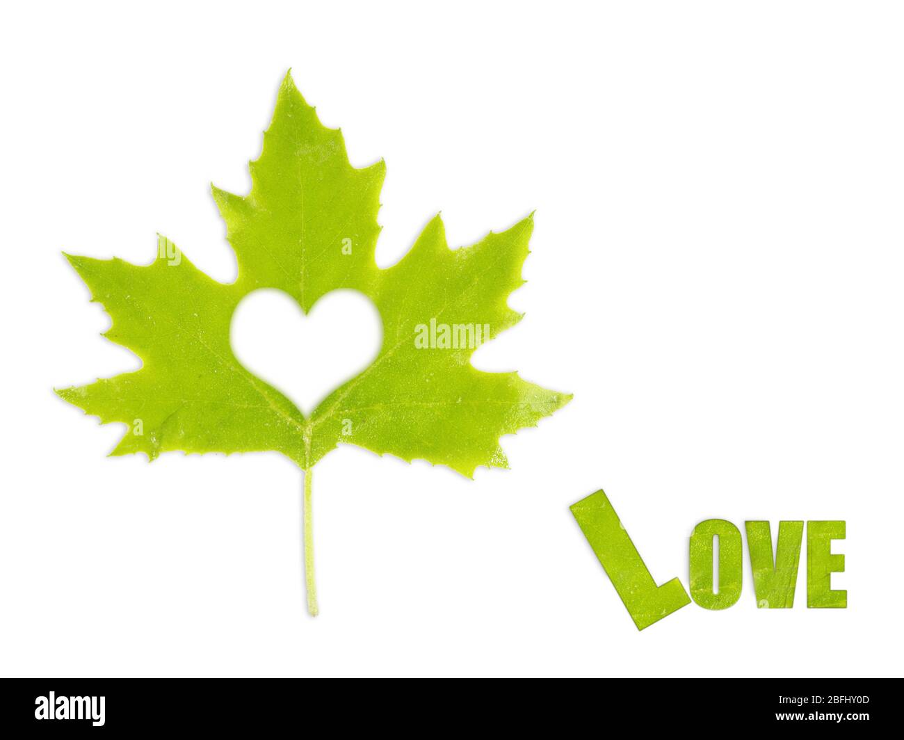 Green leaf with heart, isolated on white Stock Photo - Alamy