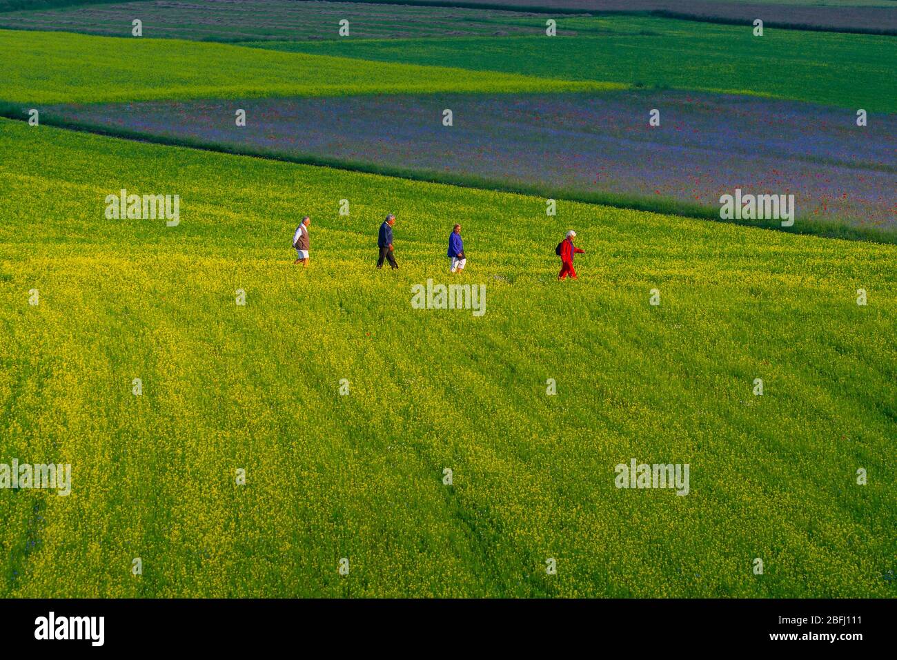 Tourists walking through the fields on the Castelleccio plateau Stock Photo