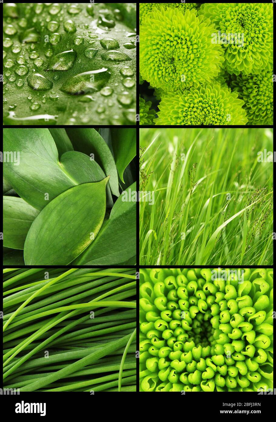 Green color samples collage Stock Photo Alamy