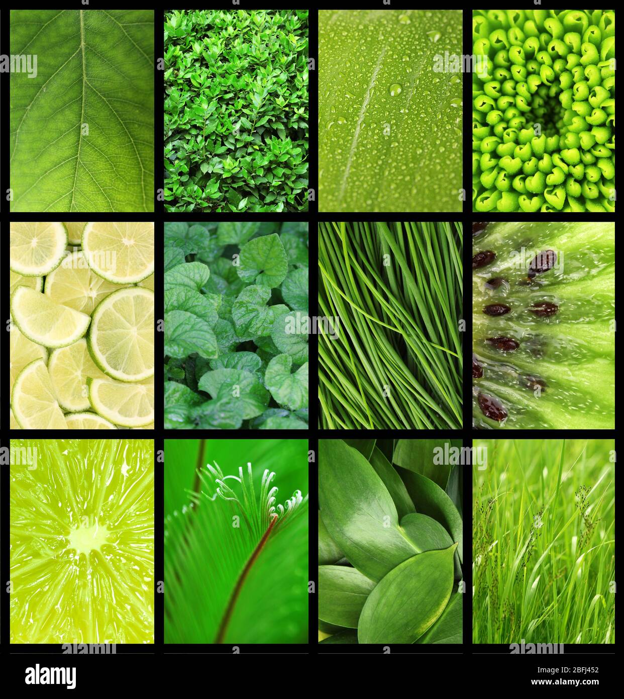 Green color samples collage Stock Photo Alamy