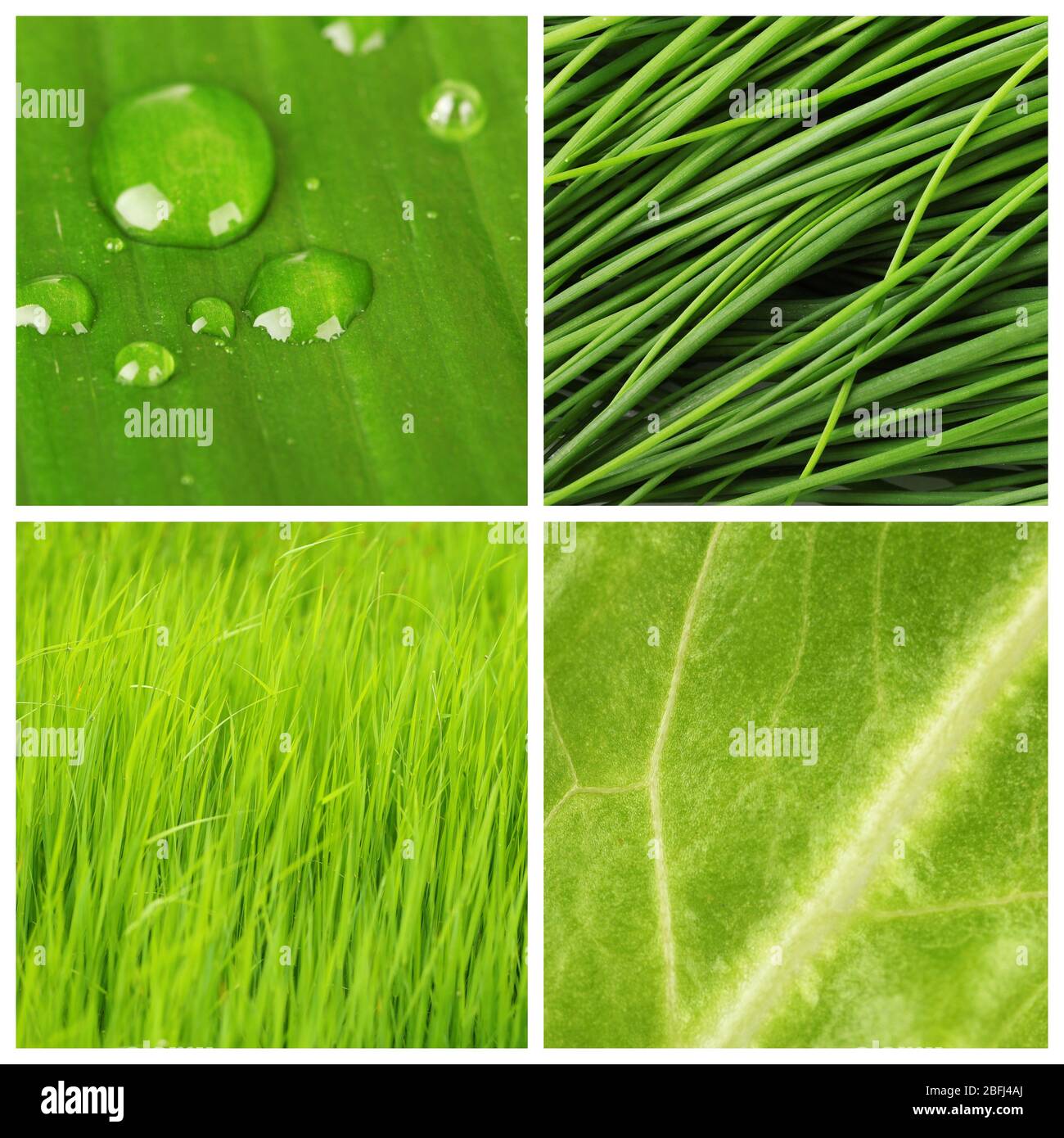 Green color samples collage Stock Photo Alamy