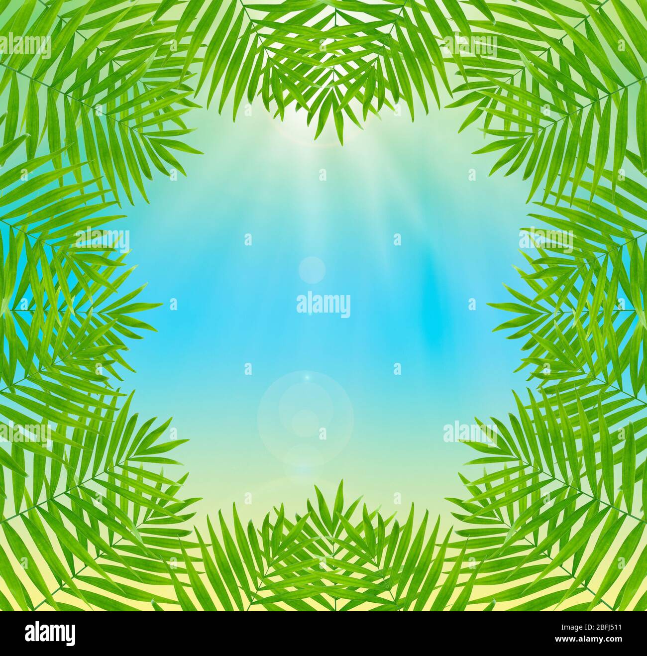 Beautiful palm leaves shaped as frame with space for your text Stock ...