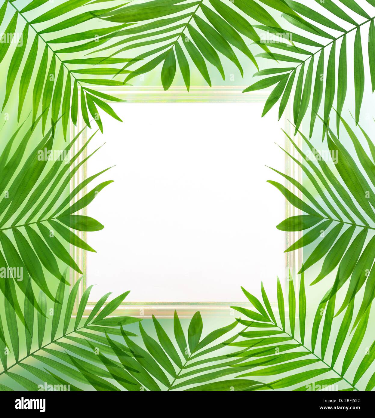 Beautiful palm leaves shaped as frame with space for your text Stock ...